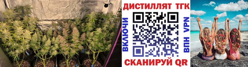 ссылка на мегу как войти  Пойковский  Дистиллят ТГК THC oil 