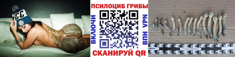 Псилоцибиновые грибы прущие грибы Пойковский