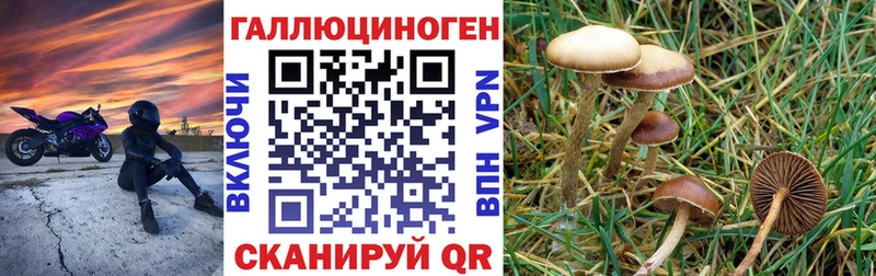 ОМГ ОМГ маркетплейс  Пойковский  Галлюциногенные грибы Psilocybine cubensis 